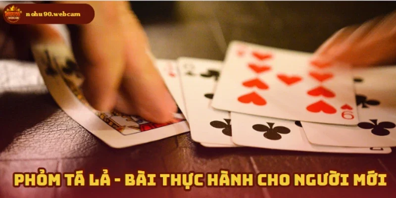 Bước đầu làm quen với Phỏm Tá Lả cho người mới chơi