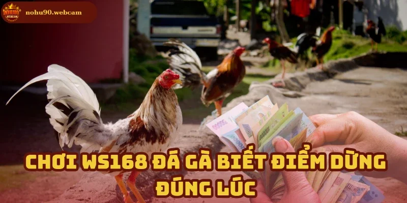 Dừng đúng lúc – Bí quyết giữ vững lợi nhuận 